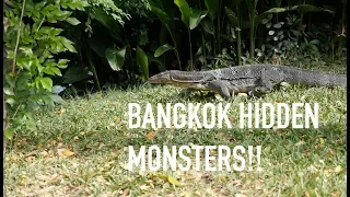 The monster of Lumpini Park in Bangkok | Thailand guide | ep 7