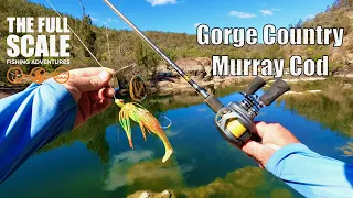 Walking Gorge Country For Murray Cod | The Full Scale
