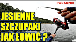 Gdzie szukać Szczupaka przez całą jesień? Strategie i przynęty spinningowe.