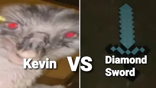 The Urban Rescue Ranch Kevin VS The Diamond Sword