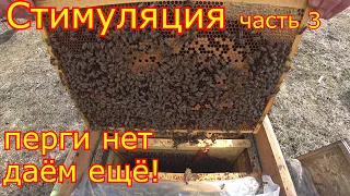 СТИМУЛЯЦИЯ Семей! КАРНИКА в СИБИРИ!