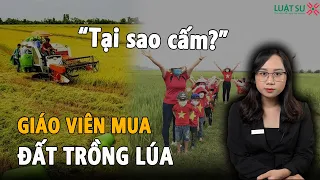 Tại sao giáo viên, cán bộ công chức không được mua đất trồng lúa?