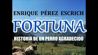 Enrique Pérez Escrich-"FORTUNA"-audiolibro completo