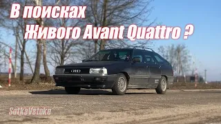 Audi 100 avant quattro, Sotkavstoke автоподбор для проекта на турбо