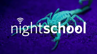 NightSchool: Making "Venom"