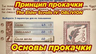 The Elder Scrolls IV: Oblivion ► Основы прокачки ► Суть прокачки ► Принципы