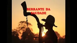 Música Berrante da Saudade (COM LETRA) - Chico Rey & Paraná