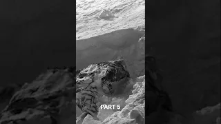 The Dyatlov Pass Incident PART 5| GO TO THE PROFILE TO WATCH THE FULL VIDEO