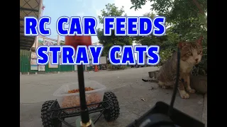 FPV RC Car Feeds Stray Cats on a Trailer - Part 1