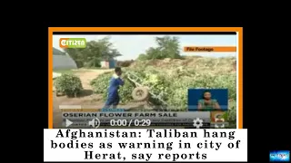 Afghanistan: Taliban hang bodies as warning in city of Herat, say reports