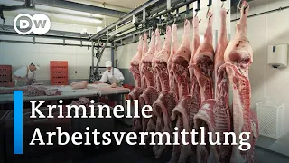 Ukraine/Deutschland: Kriminelle Arbeitsvermittlung | Fokus Europa