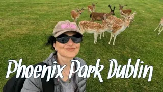 Phoenix Park Dublin - Part 1- The Largest Park in Europe (4k)