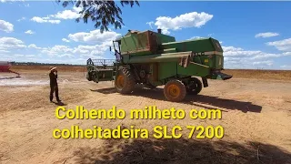 Colhendo milheto com colheitadeira  SLC 7200 e picando a palhada.