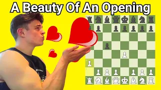 My Favourite Opening Against The Sicilian Defense