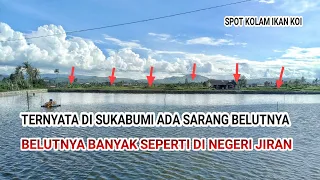 REZEKI NOMPLOK..Baru Kali Ini Nemu Sarang Belut Di Sukabumi, Belutnya banyak Seperti Di Malaysia