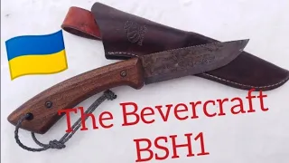 Bevercraft BSH1, NATO and the monster stealing the limelight.