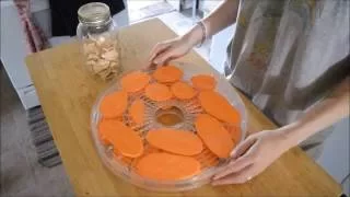 sweet potato dog treats (dehydrator)