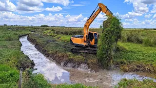 ESCAVADEIRA HIDRÁULICA - Limpando valeta fechado de capim🌾 Ep o2