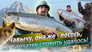 Fishing Kamchatka for King Salmons! To catch Chinook. On more DREAM fishing! Bolshaya river