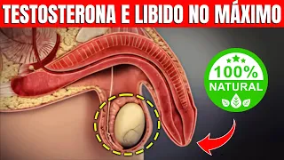 16 Alimentos para Impulsionar a Testosterona e Turbinar a Libido / Homens | CORPO HIPERTROFIADO