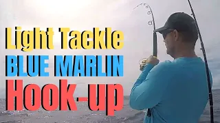 Deep Sea Fishing | Light Tackle BLUE MARLIN Hook-up