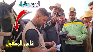 من سوق الخميسات بادريس عندو 4 الخيل باعهم  لناس وجدة وناس الخميسات سلعة نقية لي كتحمر الوجه 💯