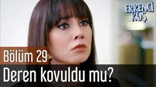 Erkenci Kuş 29. Bölüm - Deren Kovuldu mu?