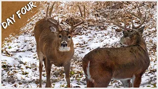 Self Filming Cost Me TWO BUCKS in ONE NIGHT. Late Season Bowhunting | Day 4