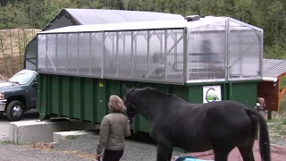 Earth Flow Composting - Manure and Bedding