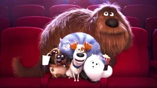 Тайная жизнь домашних животных 2 мультфильм -- Дата выхода: 20 июня 2019 г. (РФ)