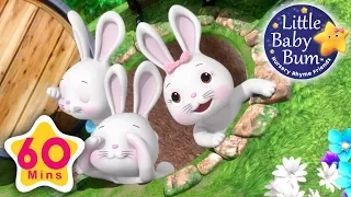 Learn with Little Baby Bum | Bunny Hop Hop | Nursery Rhymes for Babies | Songs for Kids