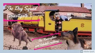 The Dog Squad investigate 'The Ravenglass and Eskdale Railway'