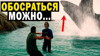 УЧЕНЫЕ ОБНОРУЖИЛИ ЭТО В ОКЕАНЕ!!!