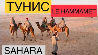 ТУНИС 2019!!!   Tunisia, Le hammamet, Sahara