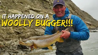 It Happened on a Woolly Bugger! Huge Brown Trout Caught on a Woolly Bugger