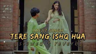 New - Arijit Singh | Tere sang Ishq hua | Love (slowed + reverb) Song 🎧 #slowedandreverb