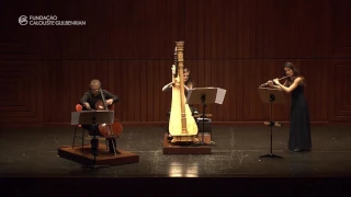 M. RAVEL SONATINE EN TRIO (Salzedo). TRIO flute cello harp.  1-st movement