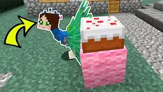 Minecraft: PEACOCK HIDE AND SEEK! - BEATING POPULARMMOS