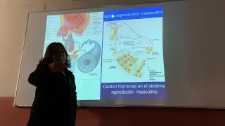 Embriología Fase 1 Clase 1