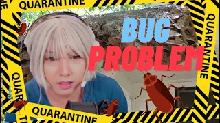 Blondie's Bug Traumas | Streamlites