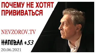 Бал вампиров Единой России, выборы, штыковая вакцинация и вертикальный взлёт бога. Невзоров, Наповал