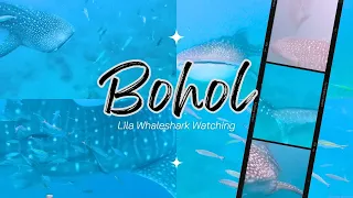 BOHOL VLOG 🐋 | Whaleshark Watching