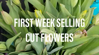 My First Week Selling Cut Flowers | Farm Projects