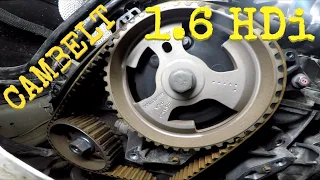 HOW TO: Citroen Peugeot 1.6 HDi 16v TIMING belt CAMBELT waterpump coolant change IN DEPTH