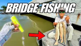 Bridge Fishing with Live Bait for Speckled Trout!!