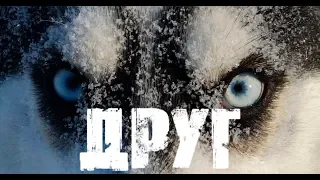 Короткометражный фильм "Друг"