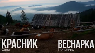 Експедиція в село Красник: пророчі пісні та полонина Веснарка.