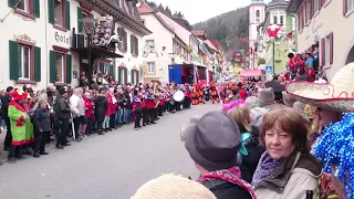 Großer Fasnachtsumzug Zell im Wiesental 2019 Teil 2