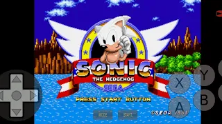 Sonic fica branco o poder das esmeraldas