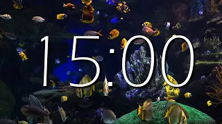 Aquarium - 15 MINUTE TIMER Sea Animals With Relaxing Music